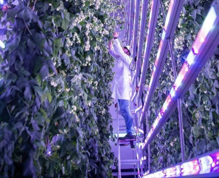 SIEMENS XCELERATOR HELPS DRIVE DIGITAL TRANSFORMATION OF SPANISH FOOD AND BEVERAGE INDUSTRY